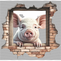 Animal Integration-DW 992